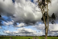 开元官方下载-保加利亚国家队备战下一轮比赛